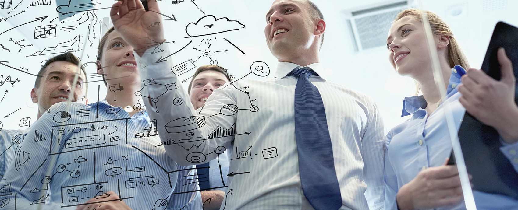 Professionals dedicated to the details